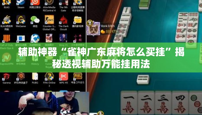 辅助神器“雀神广东麻将怎么买挂”揭秘透视辅助万能挂用法