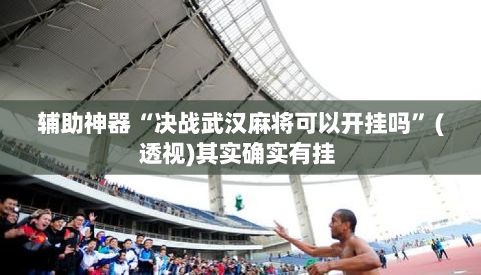 辅助神器“决战武汉麻将可以开挂吗	”(透视)其实确实有挂 