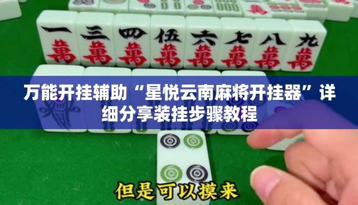 万能开挂辅助“星悦云南麻将开挂器	”详细分享装挂步骤教程