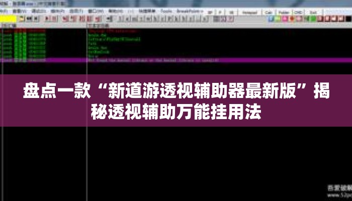 盘点一款“新道游透视辅助器最新版”揭秘透视辅助万能挂用法