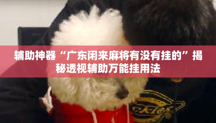 辅助神器“广东闲来麻将有没有挂的”揭秘透视辅助万能挂用法