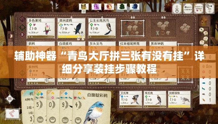 辅助神器“青鸟大厅拼三张有没有挂	”详细分享装挂步骤教程