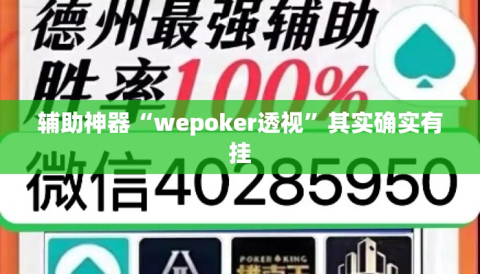 辅助神器“wepoker透视”其实确实有挂