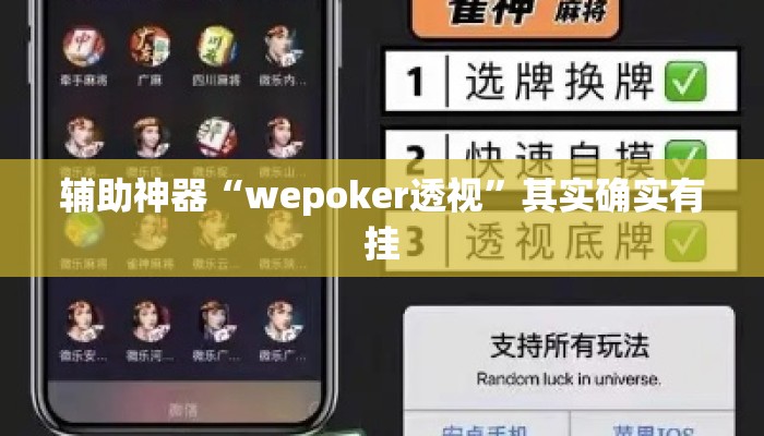 辅助神器“wepoker透视”其实确实有挂
