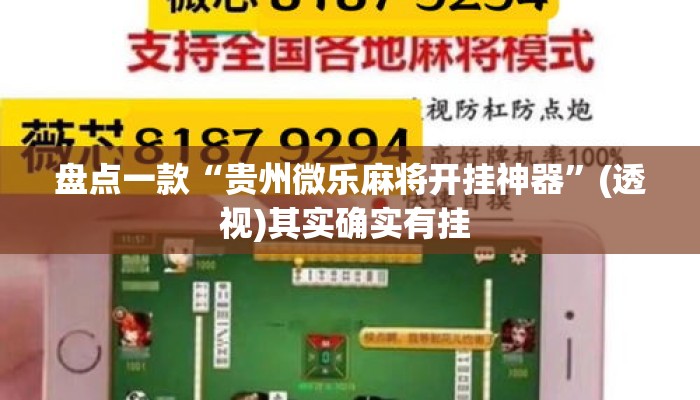 盘点一款“贵州微乐麻将开挂神器	”(透视)其实确实有挂 