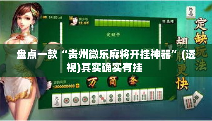 盘点一款“贵州微乐麻将开挂神器	”(透视)其实确实有挂 
