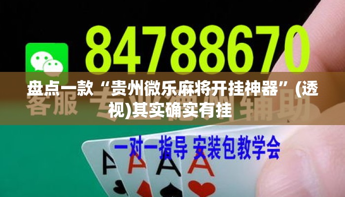 盘点一款“贵州微乐麻将开挂神器”(透视)其实确实有挂 