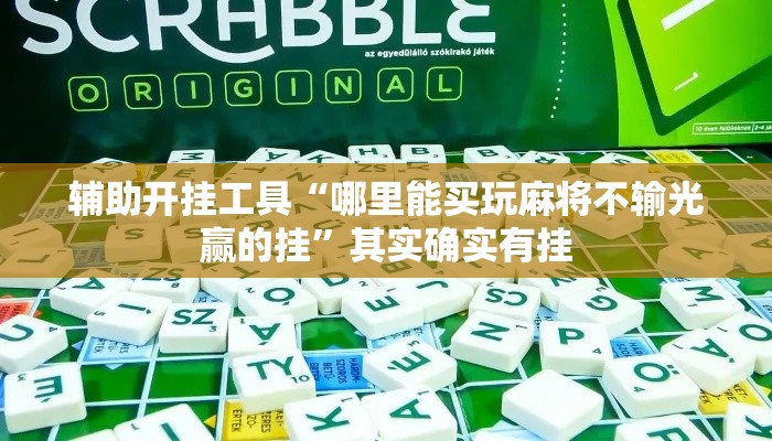 辅助开挂工具“哪里能买玩麻将不输光赢的挂”其实确实有挂