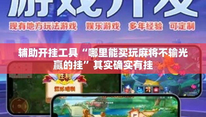 辅助开挂工具“哪里能买玩麻将不输光赢的挂”其实确实有挂