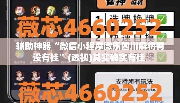 辅助神器“微信小程序微乐四川麻将有没有挂”(透视)其实确实有挂 