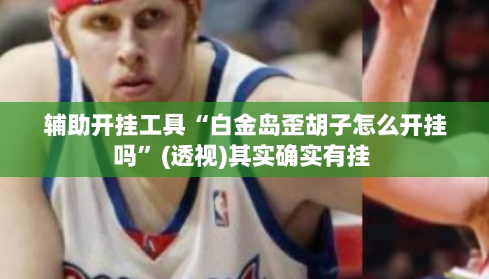 辅助开挂工具“白金岛歪胡子怎么开挂吗”(透视)其实确实有挂 