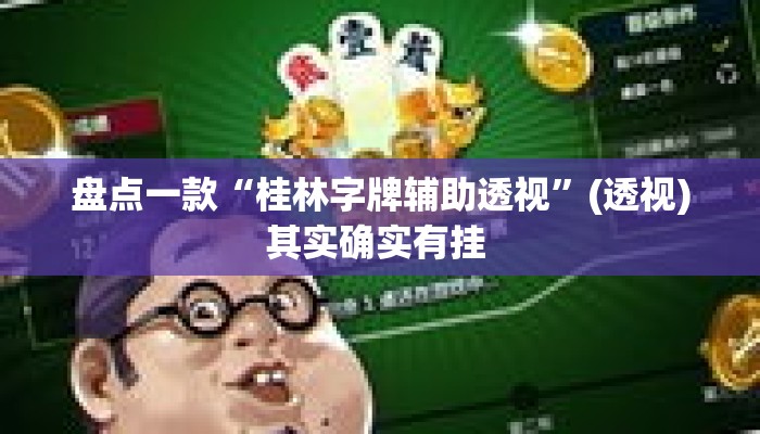 盘点一款“桂林字牌辅助透视	”(透视)其实确实有挂 