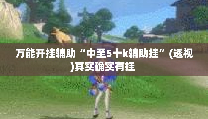 万能开挂辅助“中至5十k辅助挂”(透视)其实确实有挂 