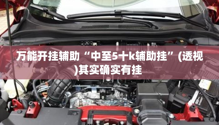 万能开挂辅助“中至5十k辅助挂	”(透视)其实确实有挂 