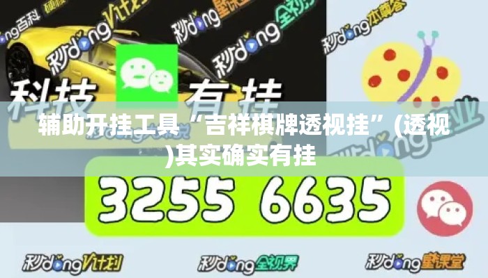 辅助开挂工具“吉祥棋牌透视挂”(透视)其实确实有挂 