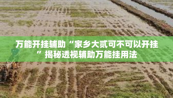 万能开挂辅助“家乡大贰可不可以开挂”揭秘透视辅助万能挂用法