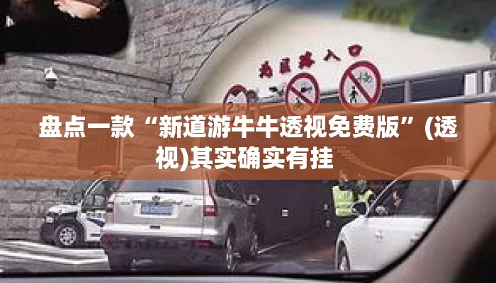 盘点一款“新道游牛牛透视免费版”(透视)其实确实有挂 