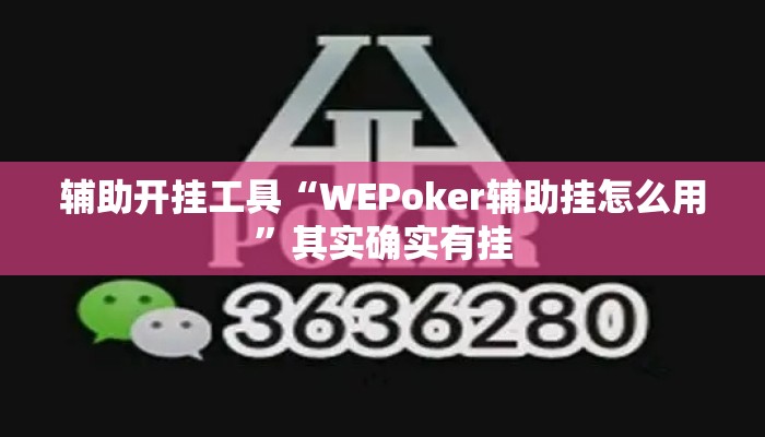 辅助开挂工具“WEPoker辅助挂怎么用”其实确实有挂