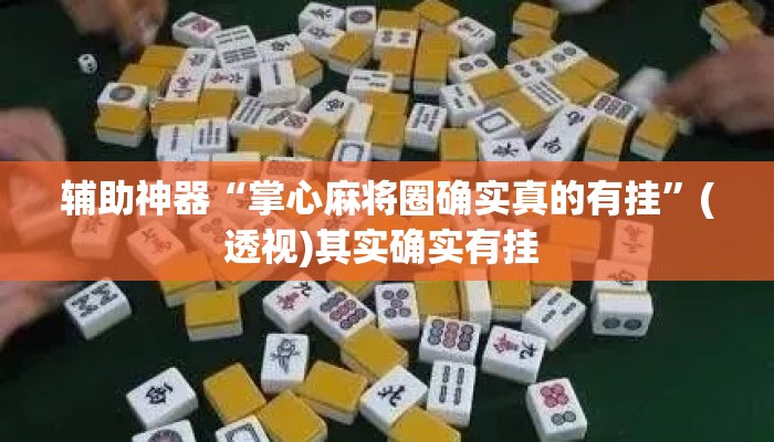 辅助神器“掌心麻将圈确实真的有挂	”(透视)其实确实有挂 
