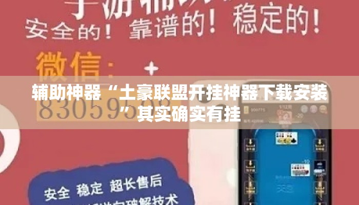 辅助神器“土豪联盟开挂神器下载安装”其实确实有挂
