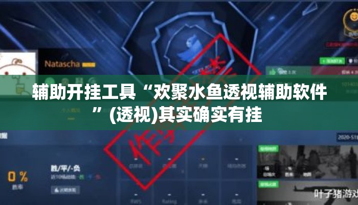 辅助开挂工具“欢聚水鱼透视辅助软件”(透视)其实确实有挂 