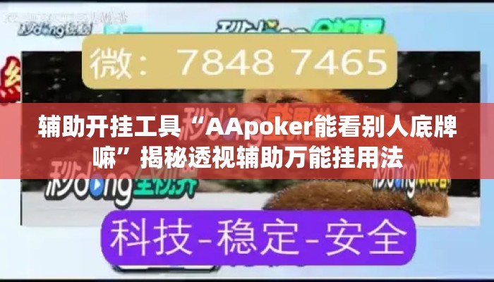 辅助开挂工具“AApoker能看别人底牌嘛”揭秘透视辅助万能挂用法