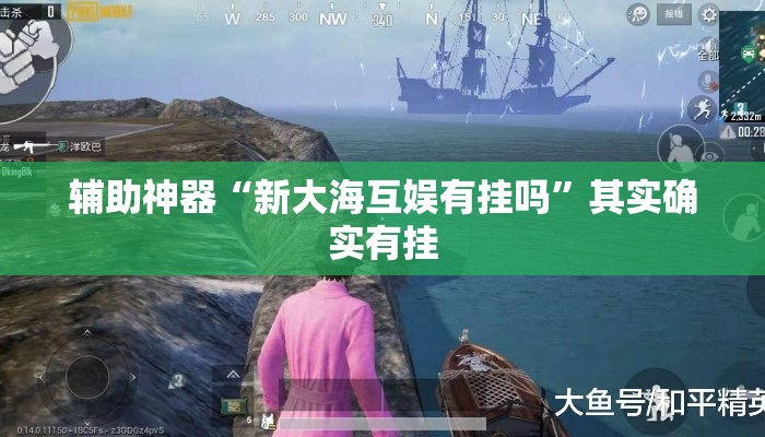 辅助神器“新大海互娱有挂吗”其实确实有挂