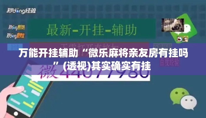 万能开挂辅助“微乐麻将亲友房有挂吗	”(透视)其实确实有挂 