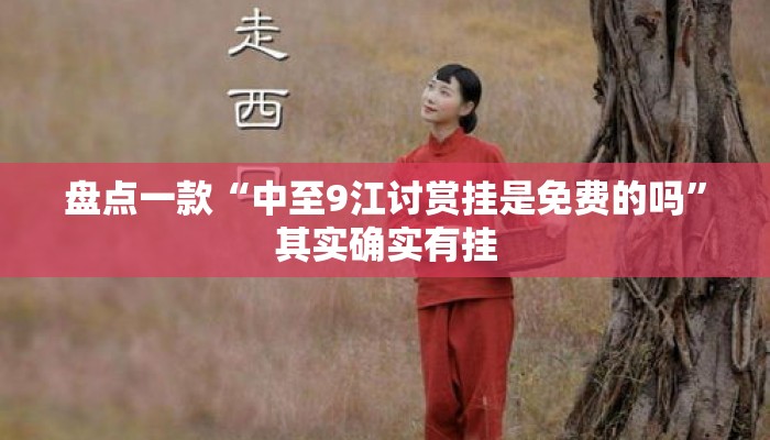 盘点一款“中至9江讨赏挂是免费的吗”其实确实有挂