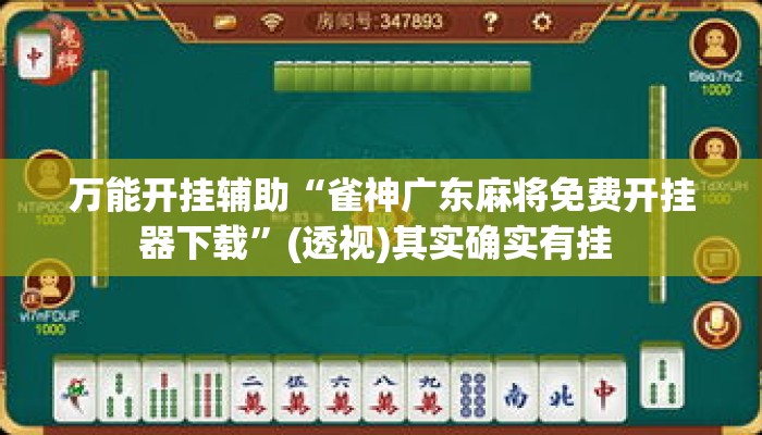 万能开挂辅助“雀神广东麻将免费开挂器下载	”(透视)其实确实有挂 