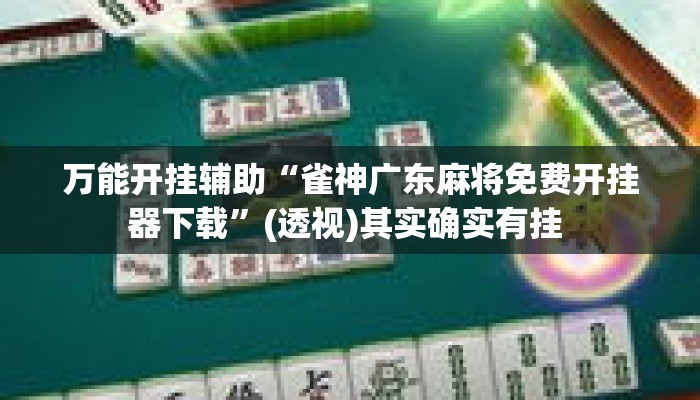 万能开挂辅助“雀神广东麻将免费开挂器下载”(透视)其实确实有挂 