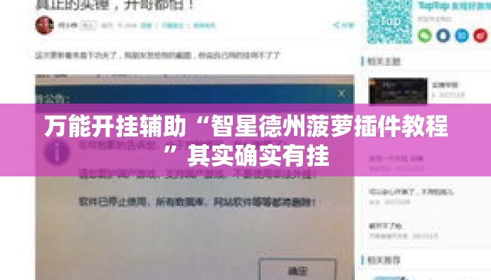 万能开挂辅助“智星德州菠萝插件教程”其实确实有挂