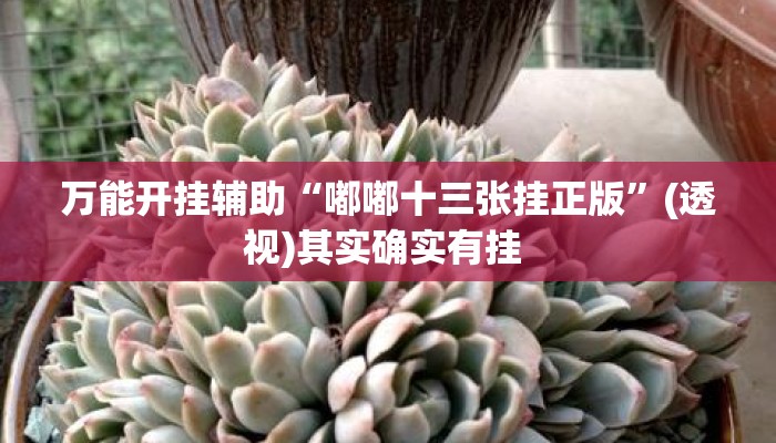 万能开挂辅助“嘟嘟十三张挂正版”(透视)其实确实有挂 