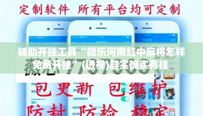 辅助开挂工具“微乐河南红中麻将怎样免费开挂”(透视)其实确实有挂 
