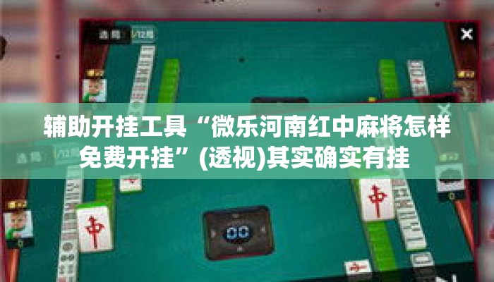 辅助开挂工具“微乐河南红中麻将怎样免费开挂	”(透视)其实确实有挂 