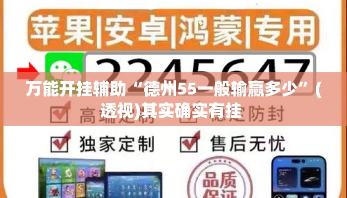 万能开挂辅助“德州55一般输赢多少”(透视)其实确实有挂 