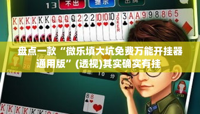 盘点一款“微乐填大坑免费万能开挂器通用版	”(透视)其实确实有挂 