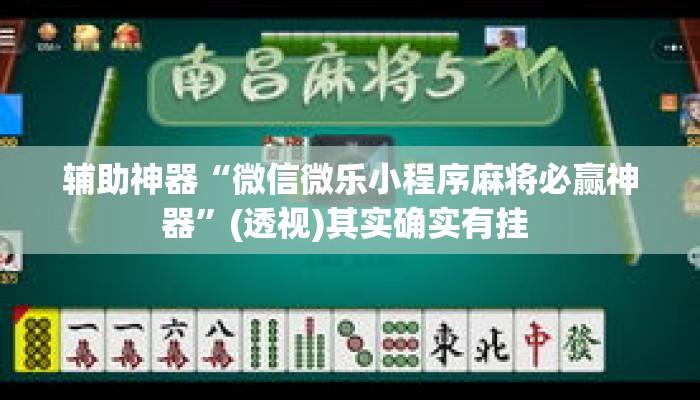 辅助神器“微信微乐小程序麻将必赢神器”(透视)其实确实有挂 