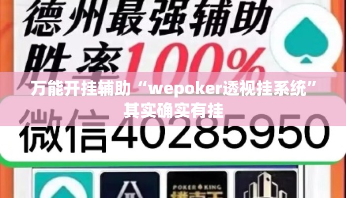 万能开挂辅助“wepoker透视挂系统	”其实确实有挂