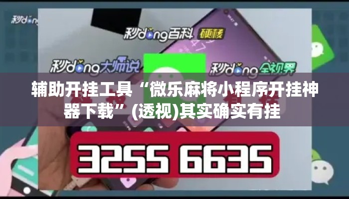 辅助开挂工具“微乐麻将小程序开挂神器下载”(透视)其实确实有挂 