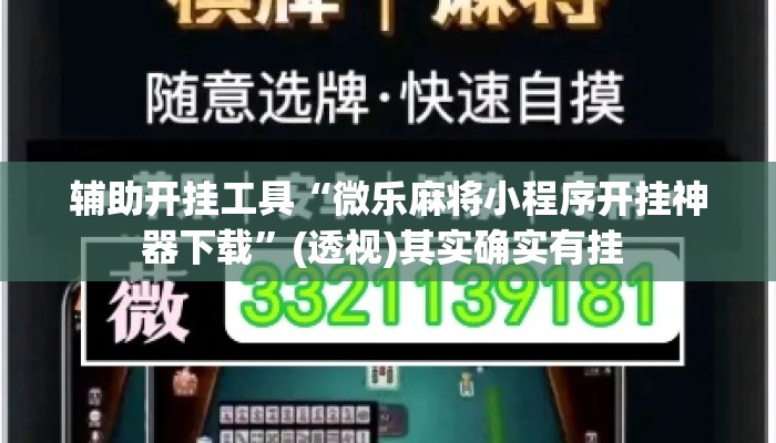 辅助开挂工具“微乐麻将小程序开挂神器下载	”(透视)其实确实有挂 