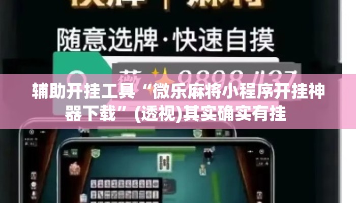 辅助开挂工具“微乐麻将小程序开挂神器下载	”(透视)其实确实有挂 