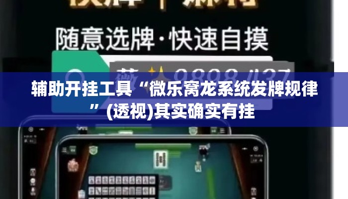辅助开挂工具“微乐窝龙系统发牌规律”(透视)其实确实有挂 