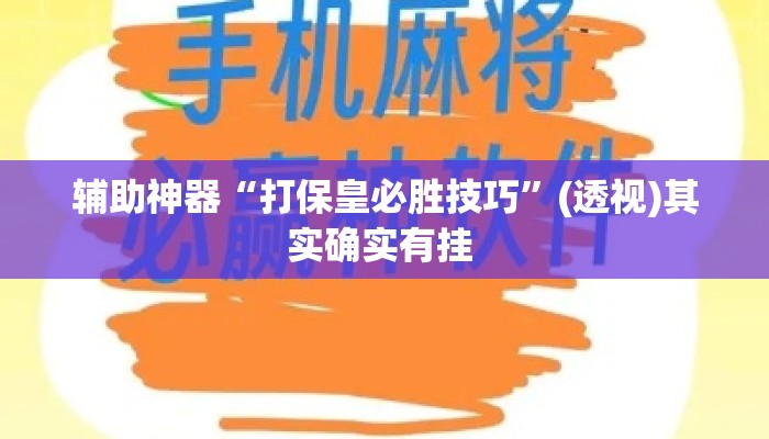 辅助神器“打保皇必胜技巧”(透视)其实确实有挂 