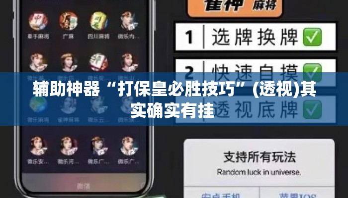 辅助神器“打保皇必胜技巧”(透视)其实确实有挂 