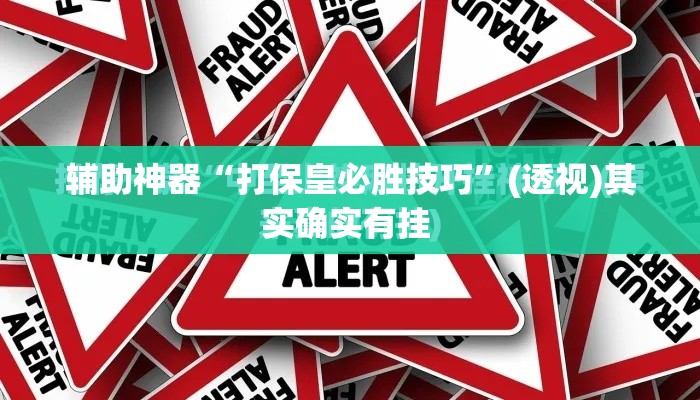 辅助神器“打保皇必胜技巧	”(透视)其实确实有挂 