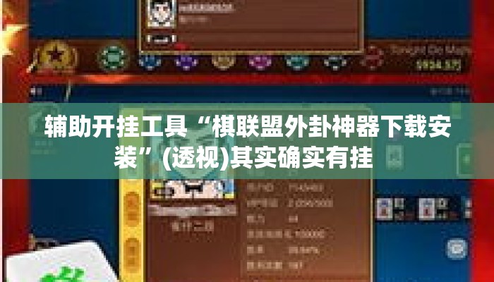 辅助开挂工具“棋联盟外卦神器下载安装	”(透视)其实确实有挂 