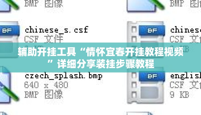 辅助开挂工具“情怀宜春开挂教程视频”详细分享装挂步骤教程