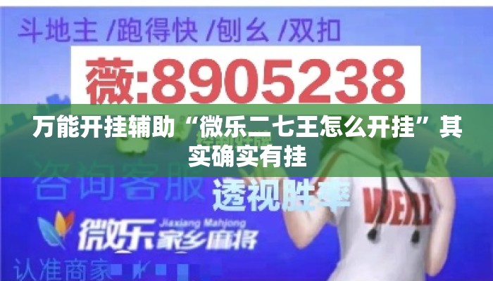 万能开挂辅助“微乐二七王怎么开挂”其实确实有挂