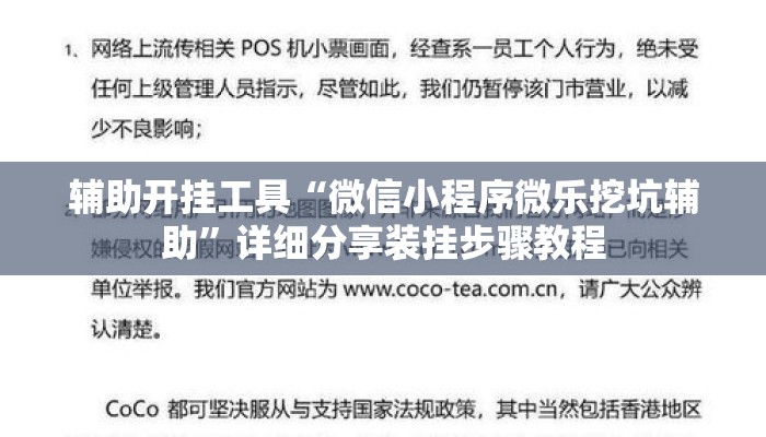 辅助开挂工具“微信小程序微乐挖坑辅助”详细分享装挂步骤教程
